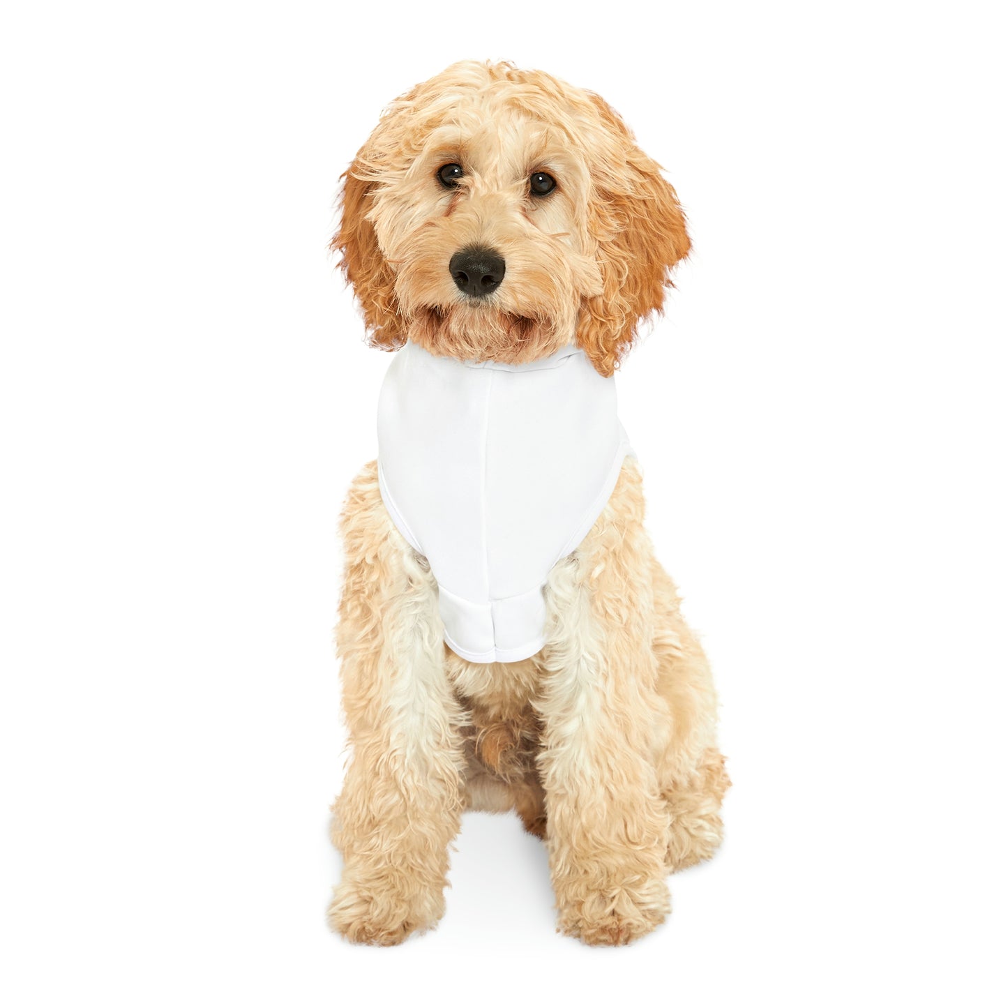 Dog Hoodie Roses