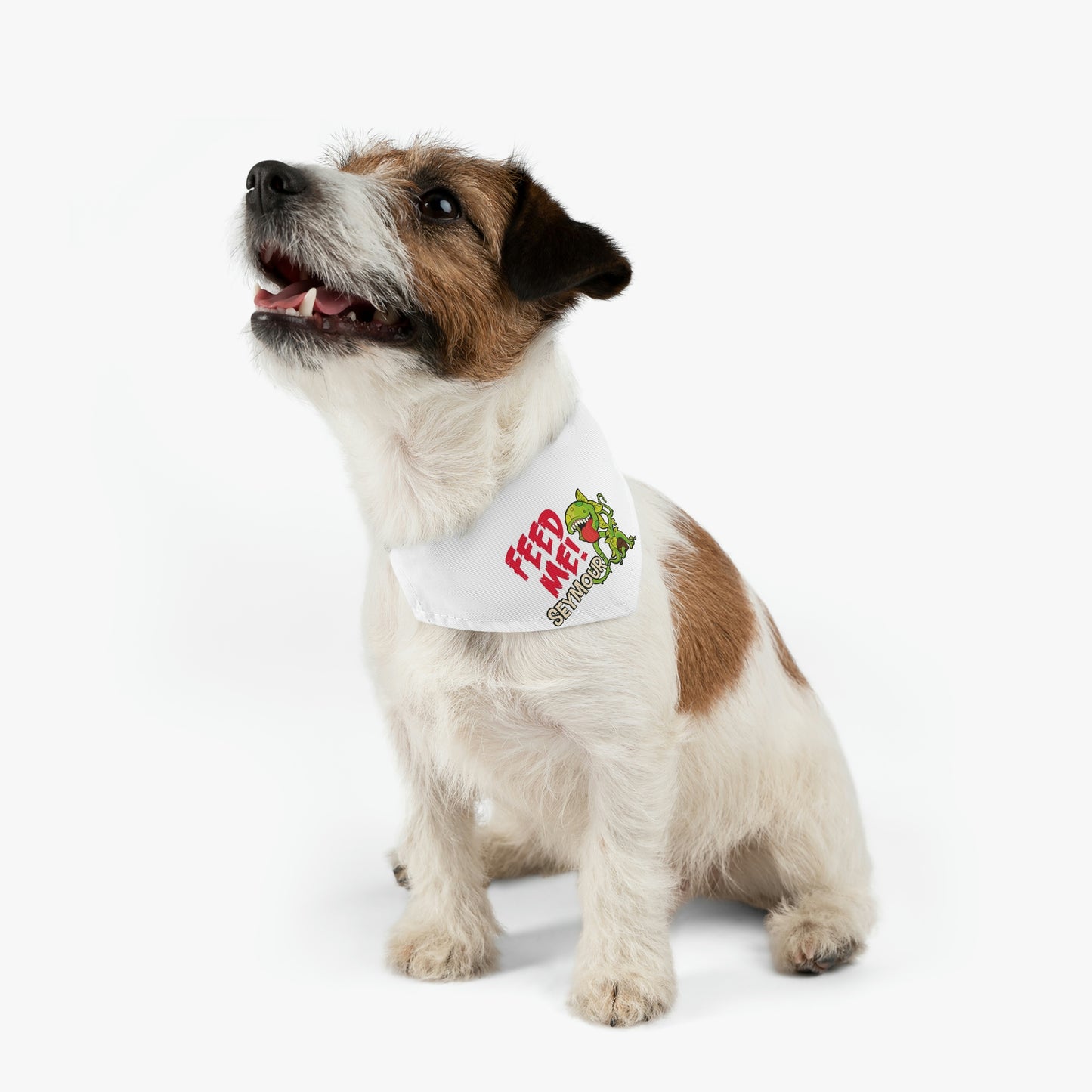 Pet Bandana Collar