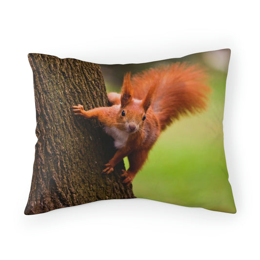 Beautiful Red Squirrel Pillow Sham