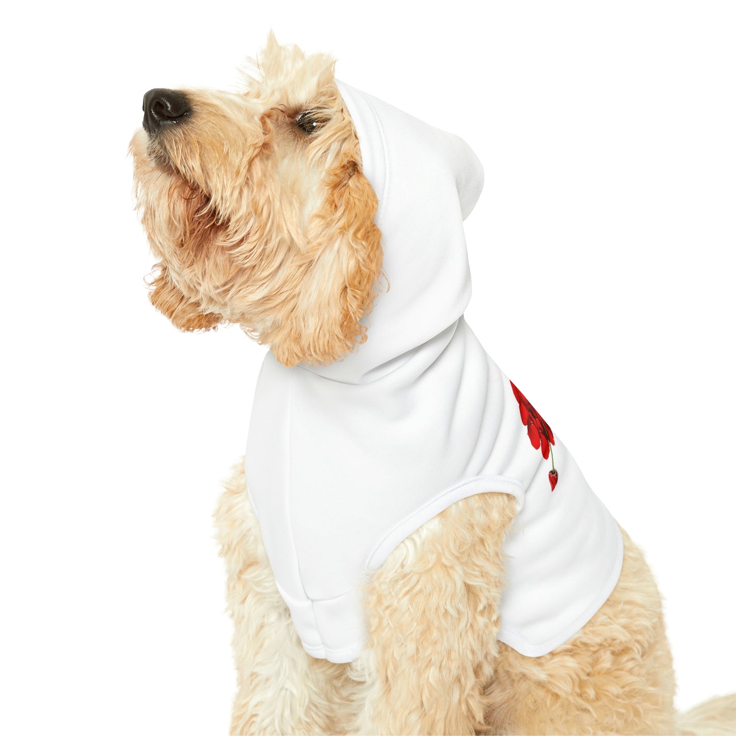 Dog Hoodie Roses